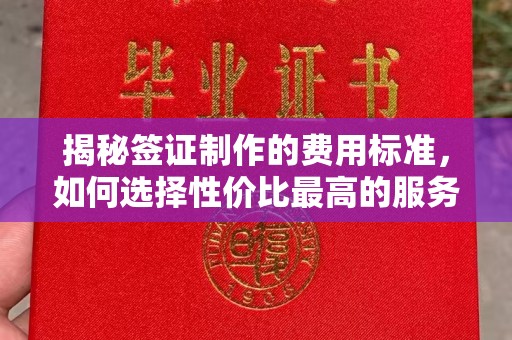 尖石揭秘签证制作的费用标准，如何选择性价比最高的服务？
