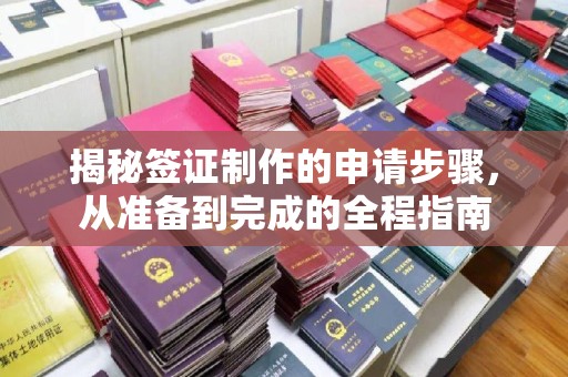 攸县揭秘签证制作的申请步骤，从准备到完成的全程指南