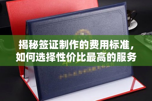 图们揭秘签证制作的费用标准，如何选择性价比最高的服务？